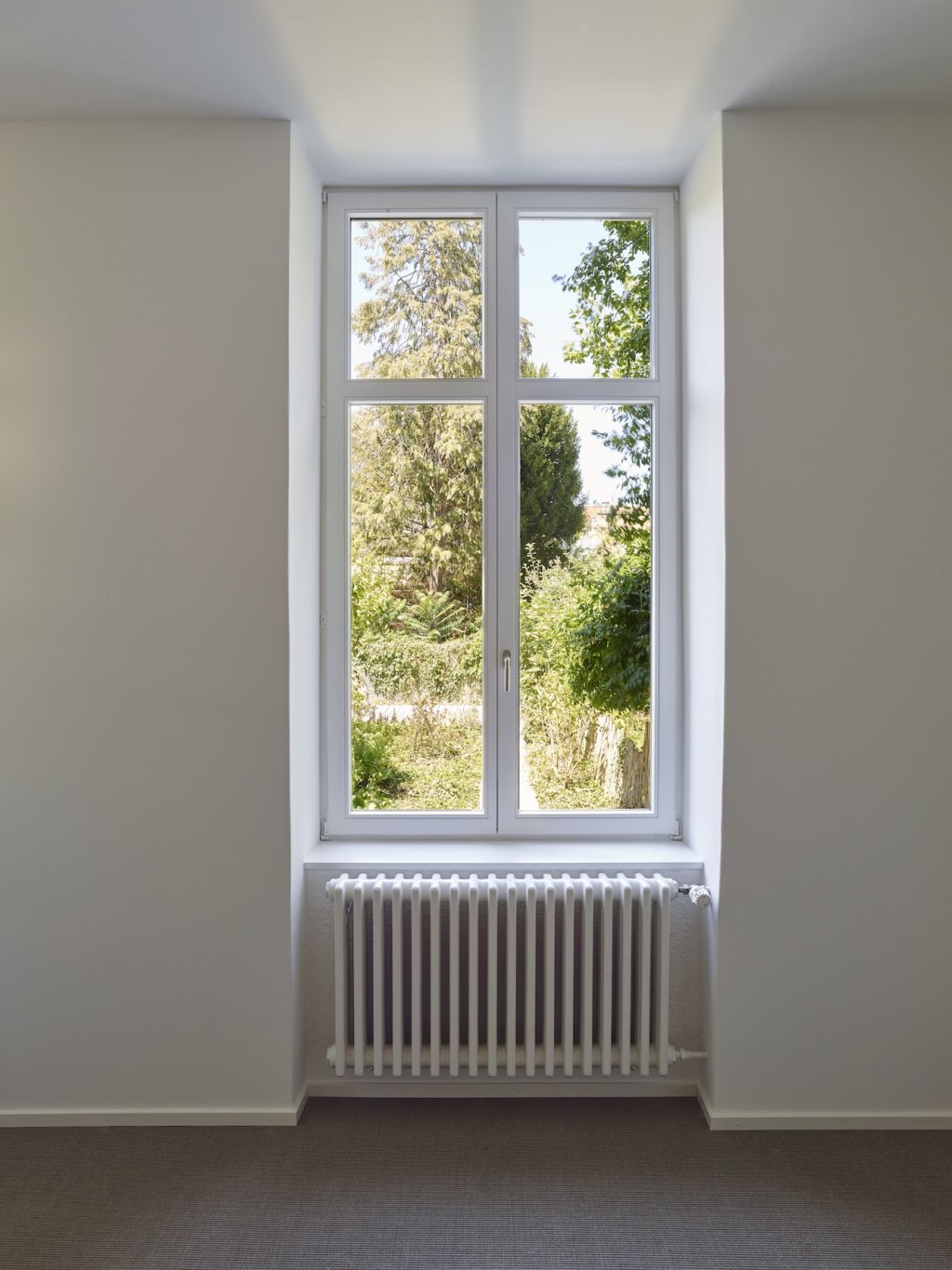 Window