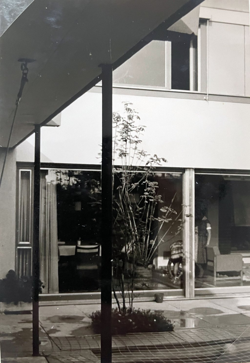 Umbau Riehen Richard Neutra, Sanierung, Einfamilienhaus, Pool